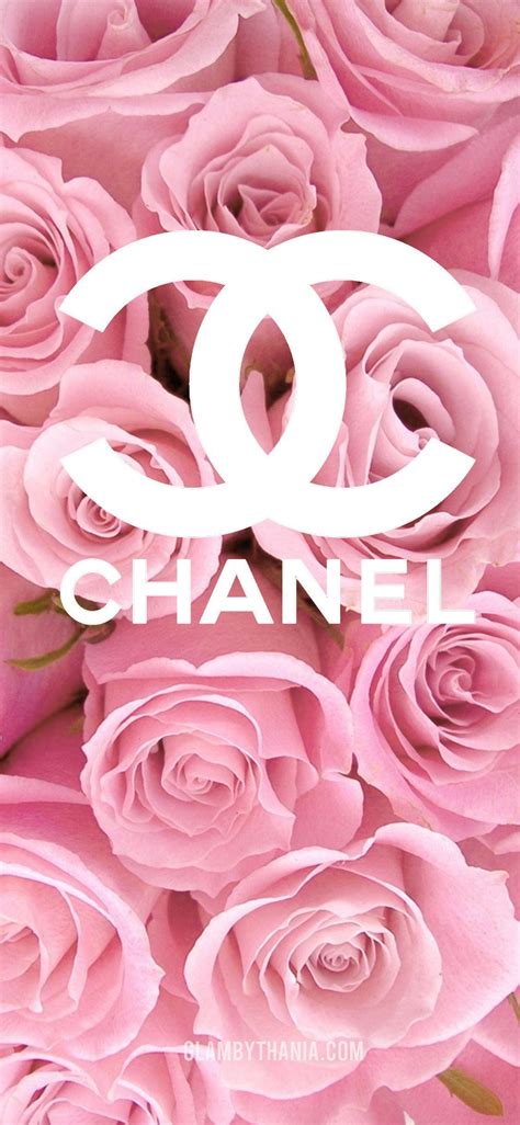 light pink chanel desktop background|pink chanel wallpaper desktop.